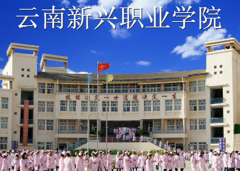 云南新兴职业学院2018年中专招生计划