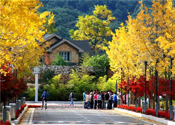 云南林业技术学院2018年普通中专招生简介