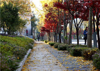 云南林业职业技术学院2018年普通中专春季招生专业