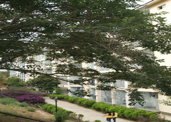 云南新兴职业学院2018年中专招生简章