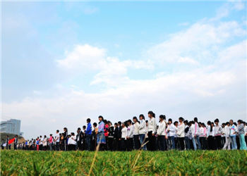云南三鑫职业学院2019年中专重点招生专业