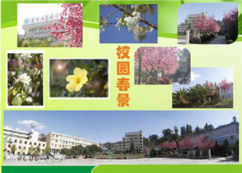 云南林业高级技工学校2019年三年制招生信息