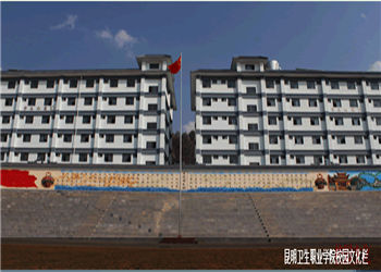 昆明卫生学院2019年中考填报志愿时间