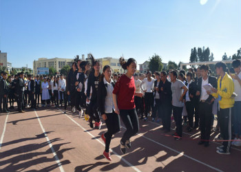 云南新兴职业学院2019年招生报名电话