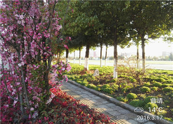 曲靖财经学校2019年招生答考生问