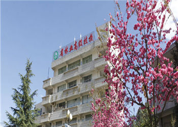 云南省林业高级技工学校2019年中专招生计划