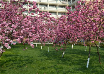 昆明卫生职业学校2020年三年制普通中专招生问答