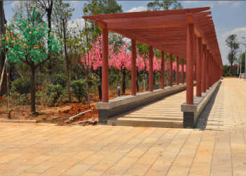 曲靖市中医药技校2020年普通中专新增专业