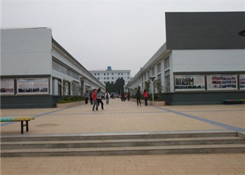 云南省经贸外事职业学校2020年普通中专招生设置