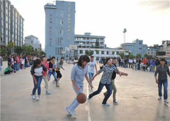 云南三鑫职业学院2020年招生报名系统
