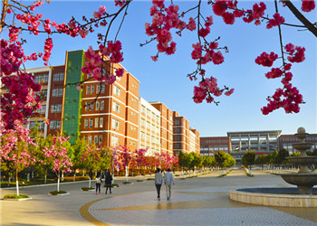 云南医药健康学院2020年专业联系电话