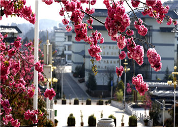 昆明卫生职业学院2021年中专部计划内招生专业