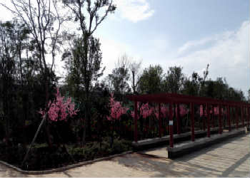 曲靖幼儿师范职业学校2021年三年制报名入口