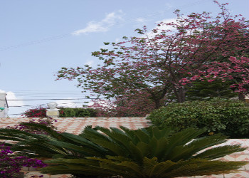 云南新兴职业技术学院2022年普通中专学费多少钱(图1) 云南新兴职业技术学院2022年普通中专学费多少钱(图1)