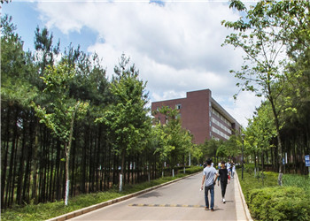 昆明市卫生学校2022年普通中专招生专业计划(图1)