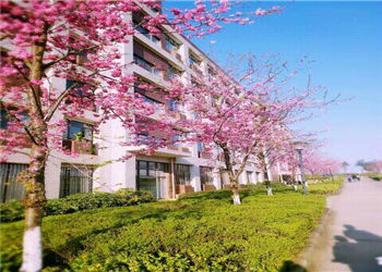 云南商务职业学校2022年三年制中专招生专业(图1)