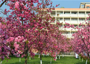 云南卫生职业学院2023年中专招生计划(图1)