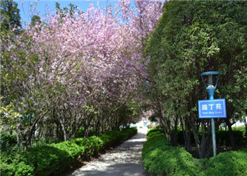 昆明技师学院2024年三年制中专报名时间 昆明技师学院2024年三年制中专报名时间