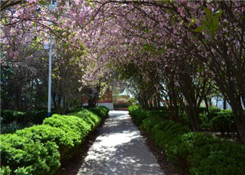 昆明技师学院2024年三年制中专招生简章