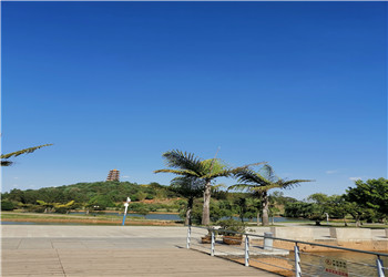 云南庆来技工学校2024年三年制招生对象