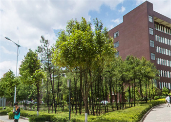 昆明市卫生学校2025年中专招生计划 昆明市卫生学校2025年中专招生计划