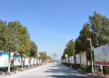 曲靖靖宁职业技术学校2025年中专招生专业