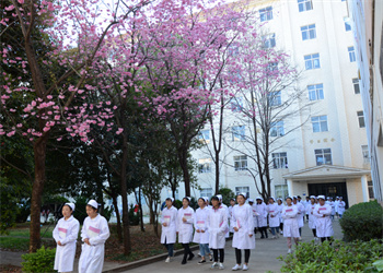 云南中医药中等专业学校2026年中专招生地址 云南中医药中等专业学校2026年中专招生地址
